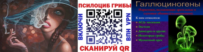 Псилоцибиновые грибы GOLDEN TEACHER Рудня